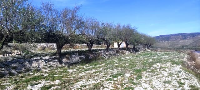 Bauplatz zu verkaufen in Planes - 75.000 € (Ref: 7498885)