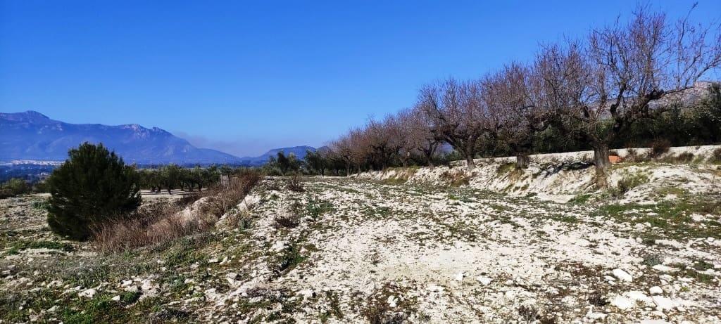 Bauplatz zu verkaufen in Planes - 75.000 € (Ref: 7498885)