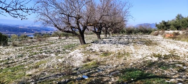 Bauplatz zu verkaufen in Planes - 75.000 € (Ref: 7498885)