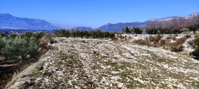 Bauplatz zu verkaufen in Planes - 75.000 € (Ref: 7498885)