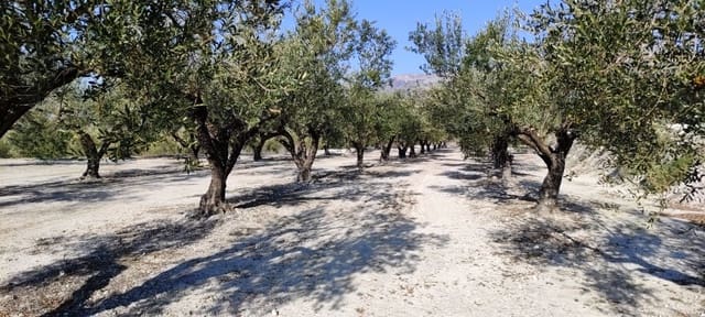 Bauplatz zu verkaufen in Planes - 75.000 € (Ref: 7498885)