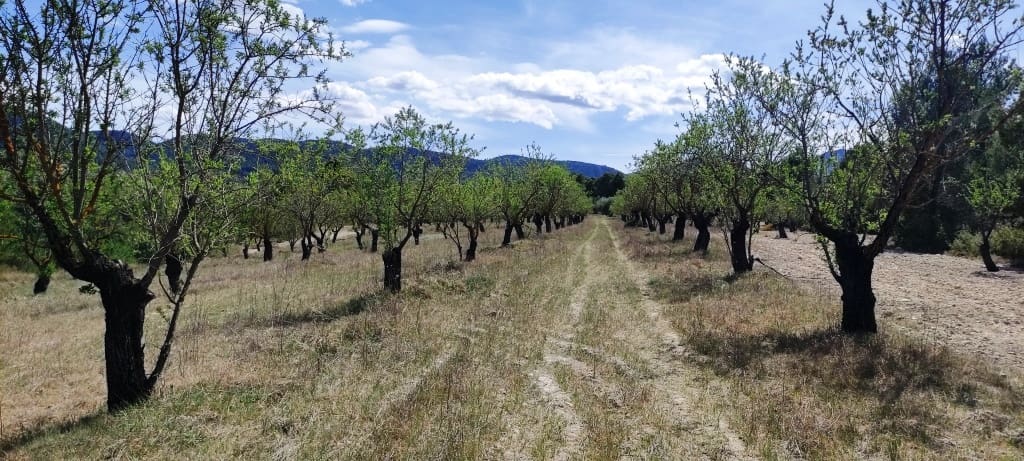 Finca/Hus på landet till salu i Penaguila - 99 900 € (Ref: 7524548)