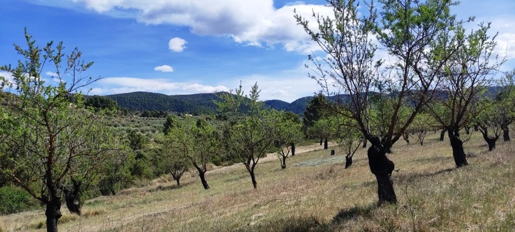 Finca/Hus på landet till salu i Penaguila - 99 900 € (Ref: 7524548)