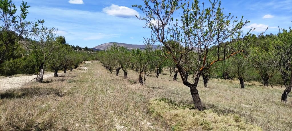 Finca/Hus på landet till salu i Penaguila - 99 900 € (Ref: 7524548)