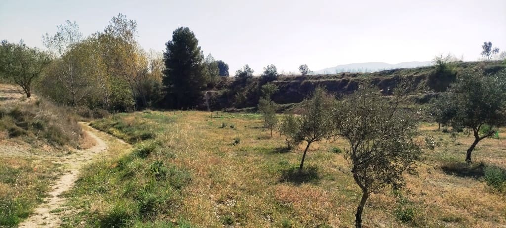 6 soverom Finca/Herregård til salgs i Muro de Alcoy med svømmebasseng garasje - € 700 000 (Ref: 7528406)