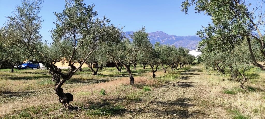 6 soverom Finca/Herregård til salgs i Muro de Alcoy med svømmebasseng garasje - € 700 000 (Ref: 7528406)