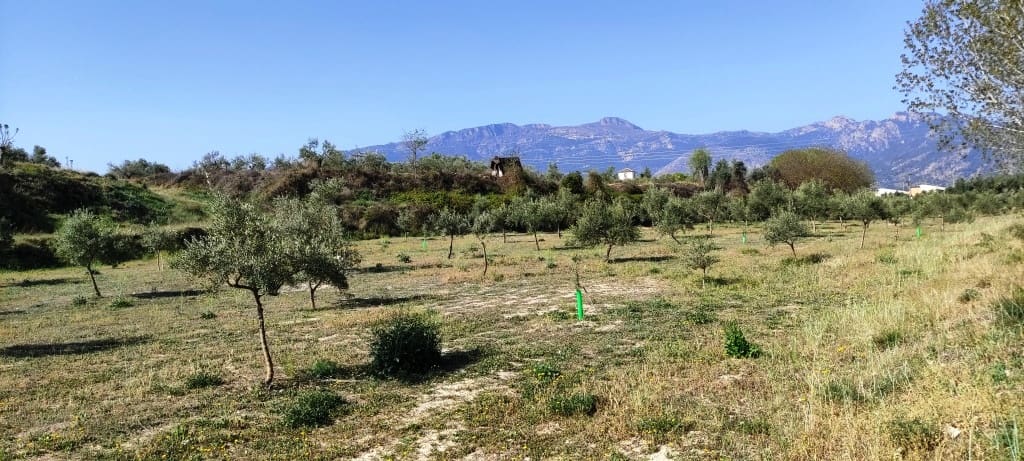 6 soverom Finca/Herregård til salgs i Muro de Alcoy med svømmebasseng garasje - € 700 000 (Ref: 7528406)
