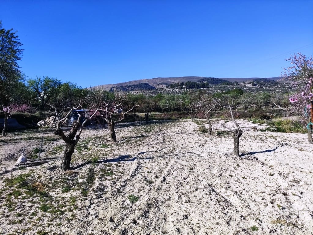 2 Zimmer Finca/Landgut zu verkaufen in Gorga - 115.000 € (Ref: 7551483)