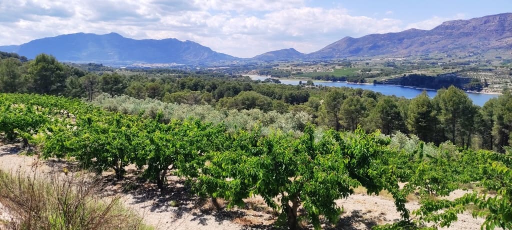 Finca/Casa di Campagna in vendita in Planes - 40.000 € (Rif: 7563120)