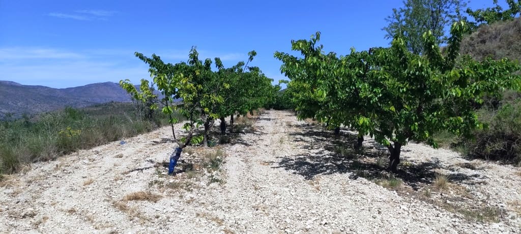 Finca/Casa di Campagna in vendita in Planes - 40.000 € (Rif: 7563120)