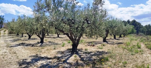 Finca/Country House for sale in Planes - € 40,000 (Ref: 7563120)