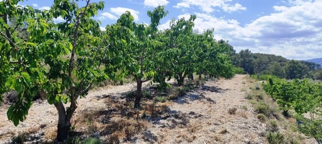 Finca/Country House for sale in Planes - € 40,000 (Ref: 7563120)