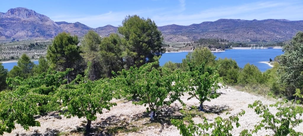 Finca/Casa di Campagna in vendita in Planes - 40.000 € (Rif: 7563120)