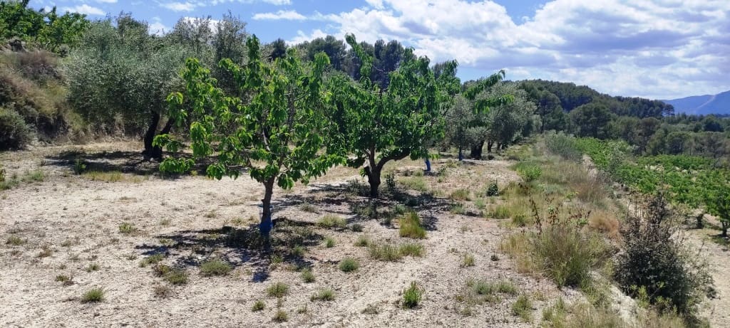 Finca/Casa di Campagna in vendita in Planes - 40.000 € (Rif: 7563120)