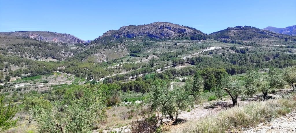 Finca/Casa di Campagna in vendita in Planes - 40.000 € (Rif: 7563120)