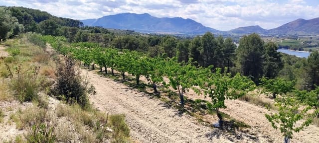 Finca/Country House for sale in Planes - € 40,000 (Ref: 7563120)