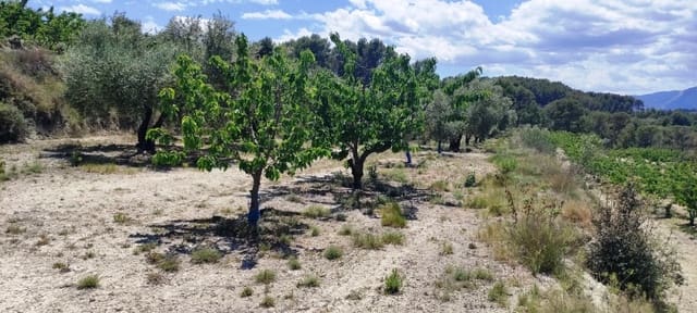 Finca/Country House for sale in Planes - € 40,000 (Ref: 7563120)