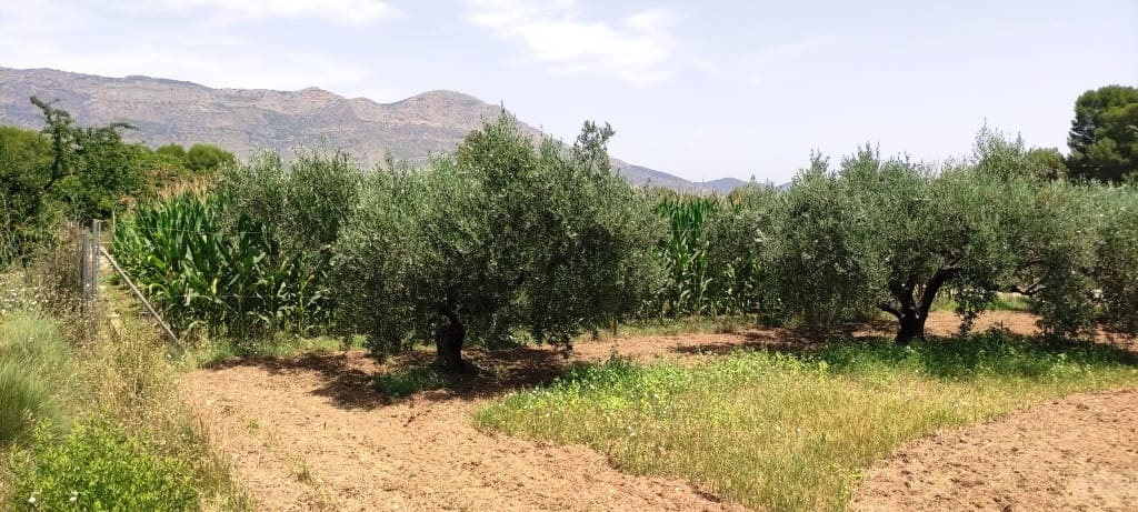 5 sypialnia Finka/Dom wiejski na sprzedaż w Muro de Alcoy z basenem - 180 000 € (Ref: 7694191)