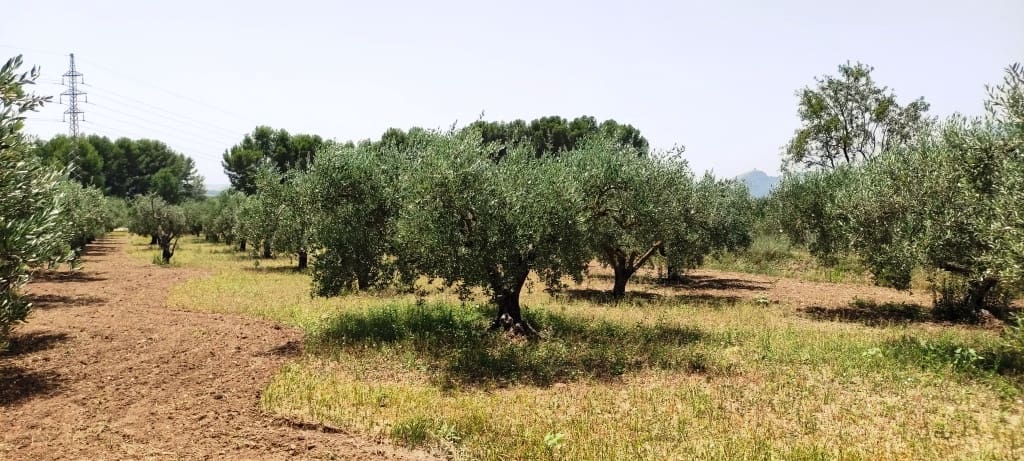 5 sypialnia Finka/Dom wiejski na sprzedaż w Muro de Alcoy z basenem - 180 000 € (Ref: 7694191)