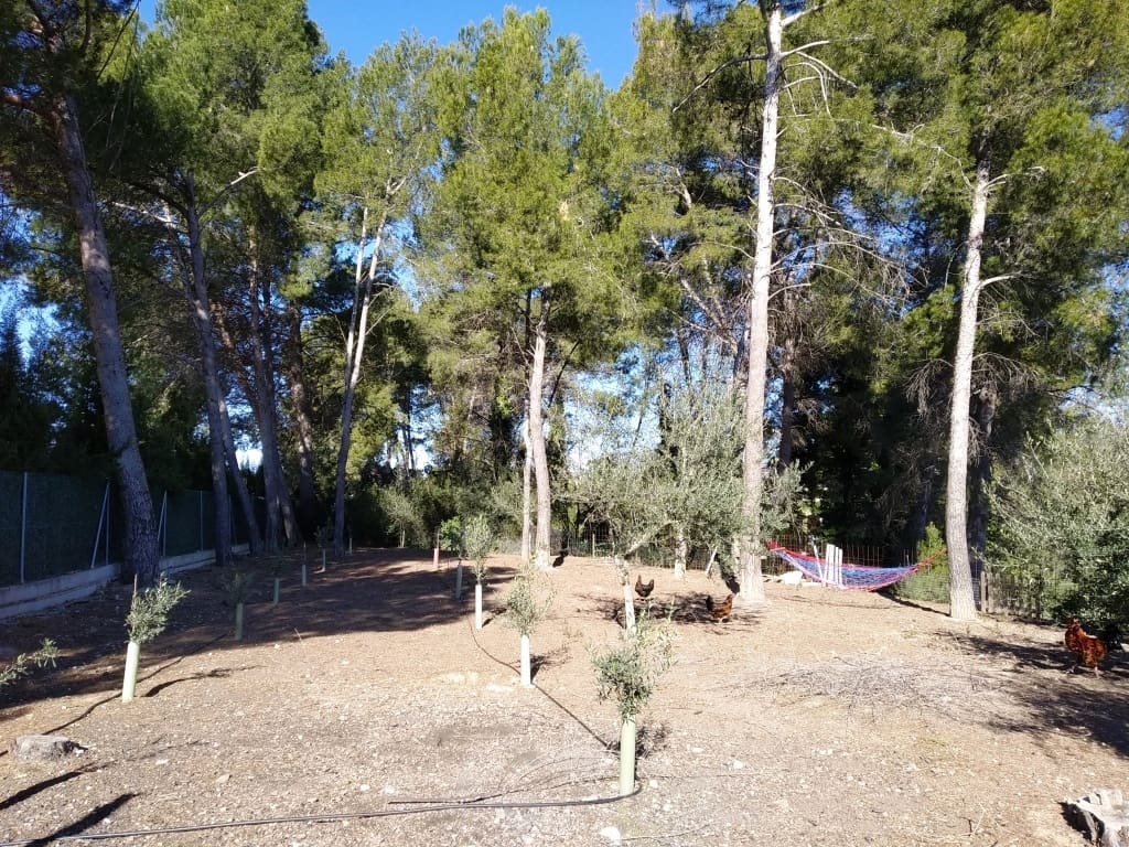 5 soveværelse Finca/Landehus til salg i Ontinyent - € 299.900 (Ref: 7702535)