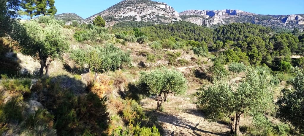 2 bedroom Finca/Country House for sale in Alcoleja - € 99,000 (Ref: 7720543)