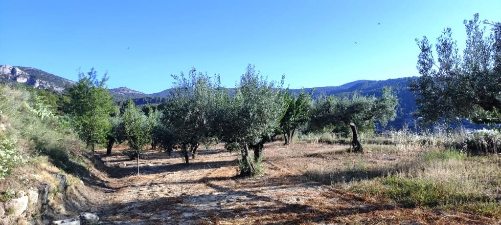 2 bedroom Finca/Country House for sale in Alcoleja - € 99,000 (Ref: 7720543)