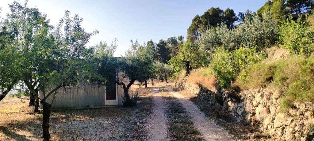 2 bedroom Finca/Country House for sale in Alcoleja - € 99,000 (Ref: 7720543)