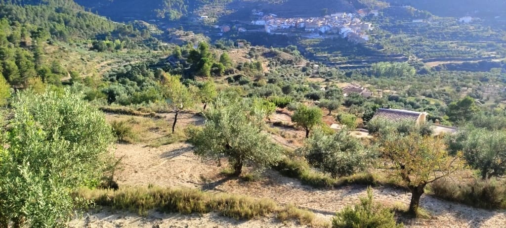2 bedroom Finca/Country House for sale in Alcoleja - € 99,000 (Ref: 7720543)