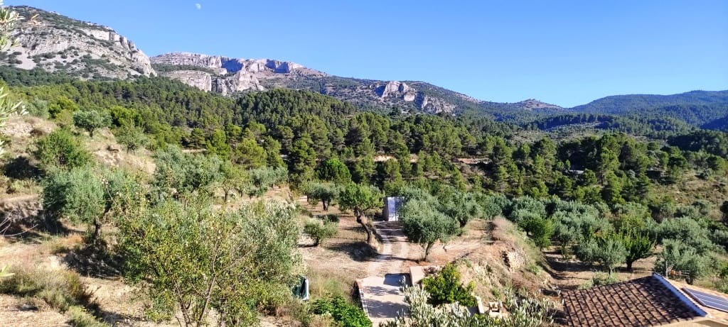 2 bedroom Finca/Country House for sale in Alcoleja - € 99,000 (Ref: 7720543)