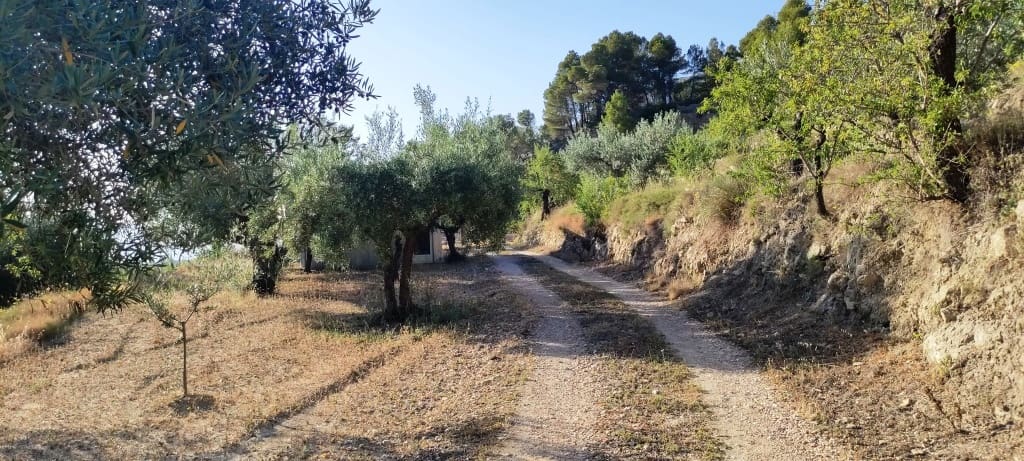 2 bedroom Finca/Country House for sale in Alcoleja - € 99,000 (Ref: 7720543)