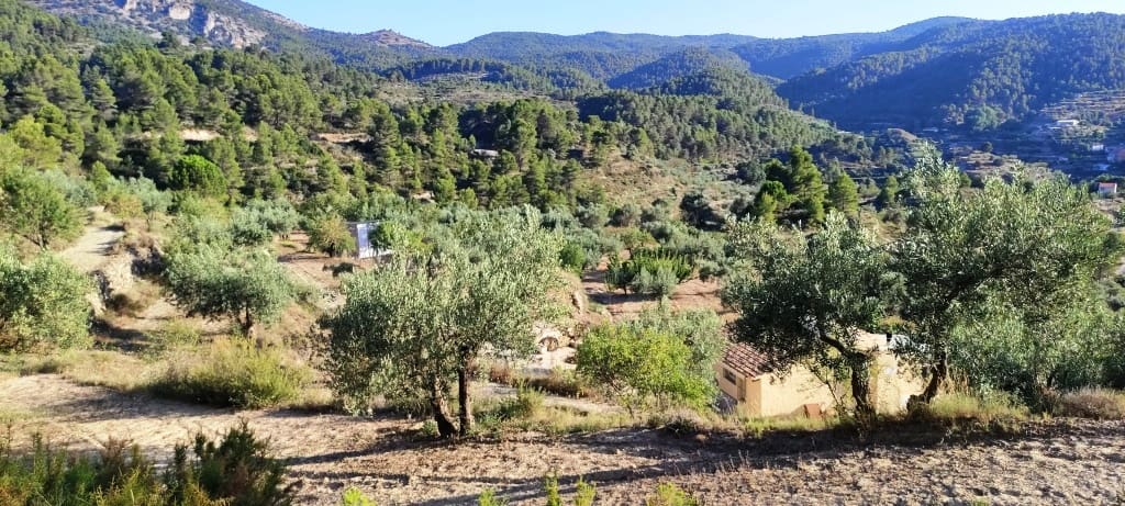 2 bedroom Finca/Country House for sale in Alcoleja - € 99,000 (Ref: 7720543)
