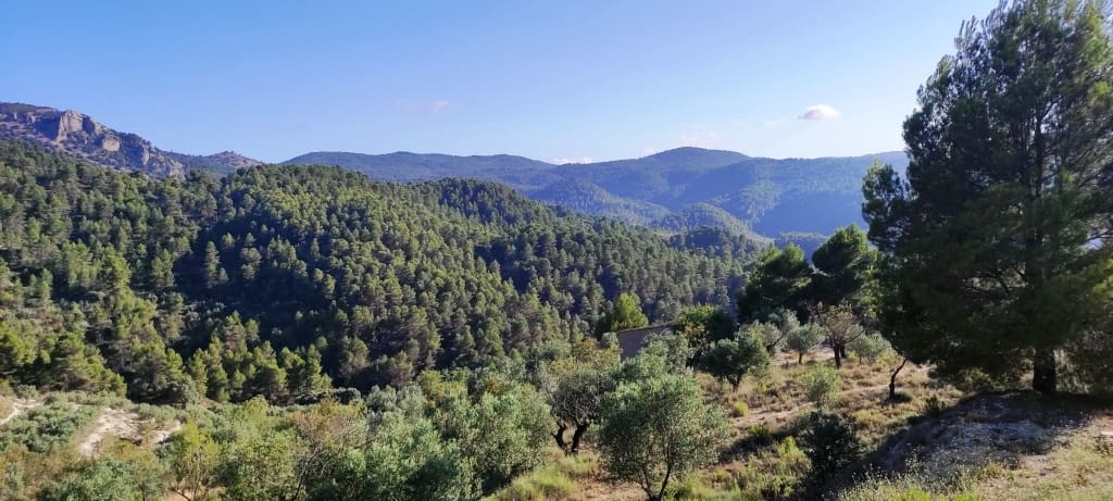 Finca/Landehus til salg i Benasau - € 60.000 (Ref: 7726412)