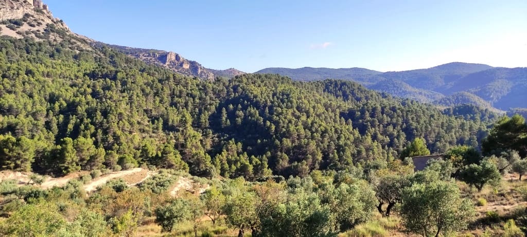 Finca/Landehus til salg i Benasau - € 60.000 (Ref: 7726412)