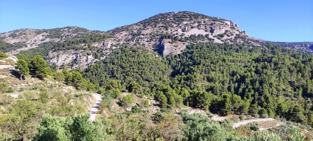 Finca/Casa di Campagna in vendita in Benasau - 60.000 € (Rif: 7726412)