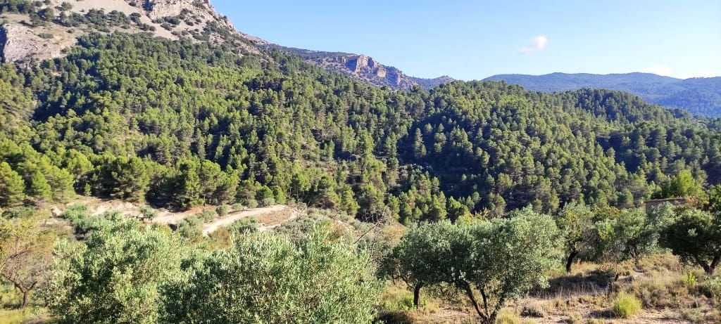 Finca/Landehus til salg i Benasau - € 60.000 (Ref: 7726412)