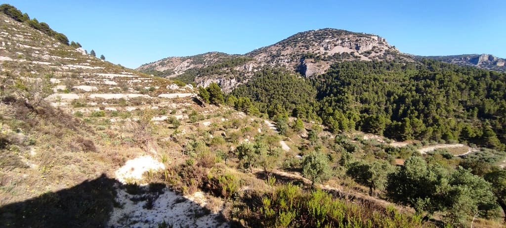 Finca/Landehus til salg i Benasau - € 60.000 (Ref: 7726412)