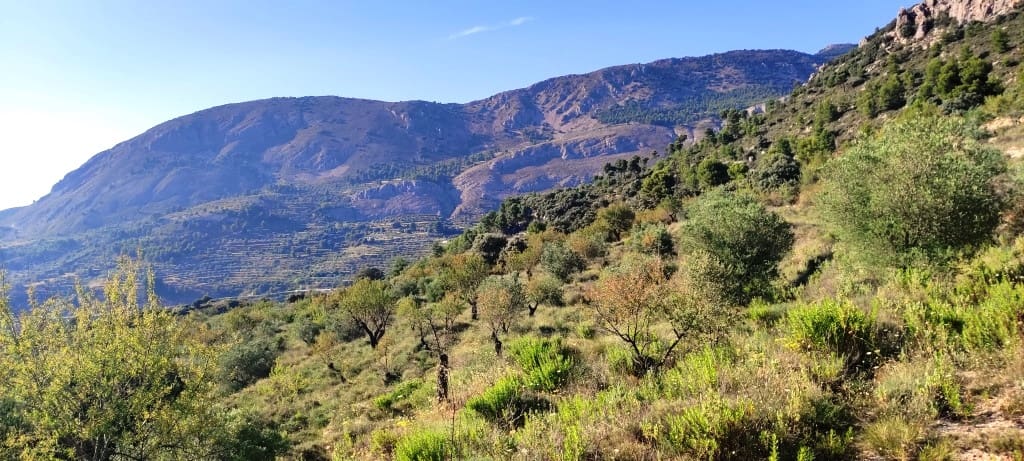 Finca/Landehus til salg i Benasau - € 60.000 (Ref: 7726412)