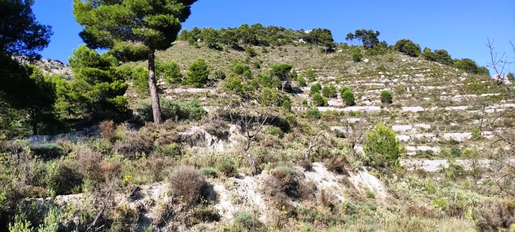 Finca/Landehus til salg i Benasau - € 60.000 (Ref: 7726412)