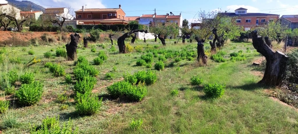 Byggegrund til salg i Gaianes - € 65.000 (Ref: 7847631)