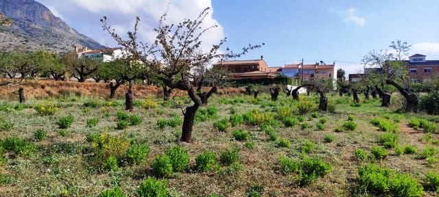 Bouwgrond te koop in Gaianes - € 65.000 (Ref: 7847631)