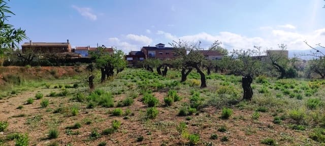 Bouwgrond te koop in Gaianes - € 65.000 (Ref: 7847631)