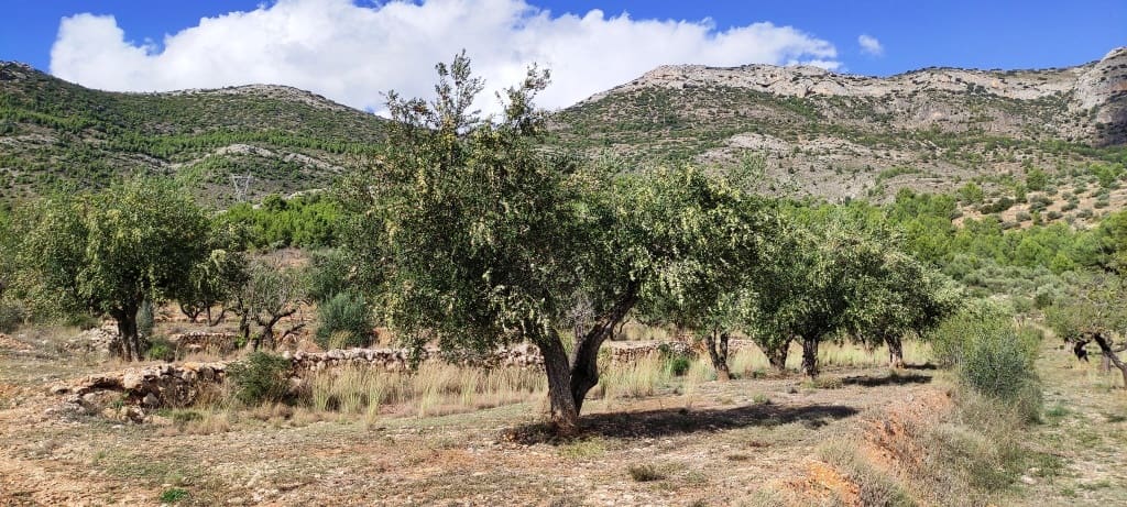 Finka/Dom wiejski na sprzedaż w Muro de Alcoy z garażem - 135 000 € (Ref: 7875021)