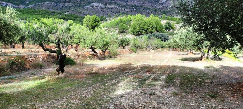 Finka/Dom wiejski na sprzedaż w Muro de Alcoy z garażem - 135 000 € (Ref: 7875021)