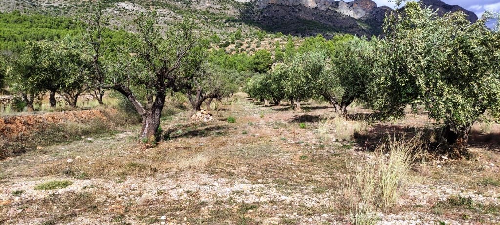 Finka/Dom wiejski na sprzedaż w Muro de Alcoy z garażem - 135 000 € (Ref: 7875021)