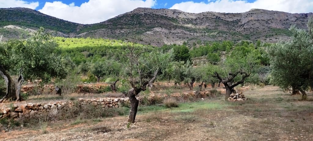 Finka/Dom wiejski na sprzedaż w Muro de Alcoy z garażem - 135 000 € (Ref: 7875021)