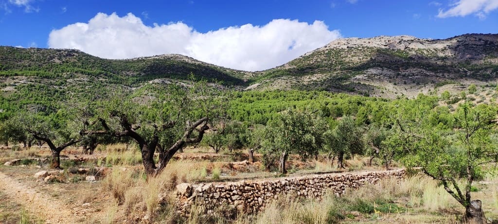 Finka/Dom wiejski na sprzedaż w Muro de Alcoy z garażem - 135 000 € (Ref: 7875021)