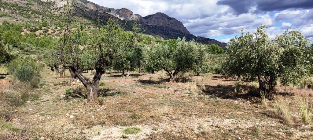 Finka/Dom wiejski na sprzedaż w Muro de Alcoy z garażem - 135 000 € (Ref: 7875021)