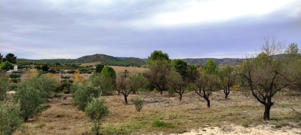 Finca/Landehus til salg i Ontinyent - € 35.000 (Ref: 7875022)