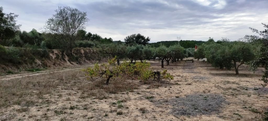 Finca/Landehus til salg i Ontinyent - € 35.000 (Ref: 7875022)