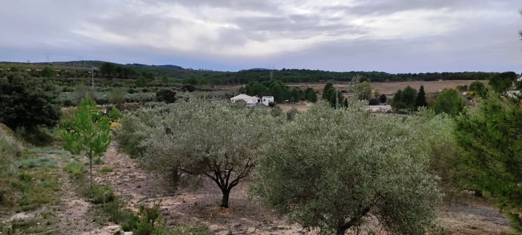 Finca/Landehus til salg i Ontinyent - € 35.000 (Ref: 7875022)
